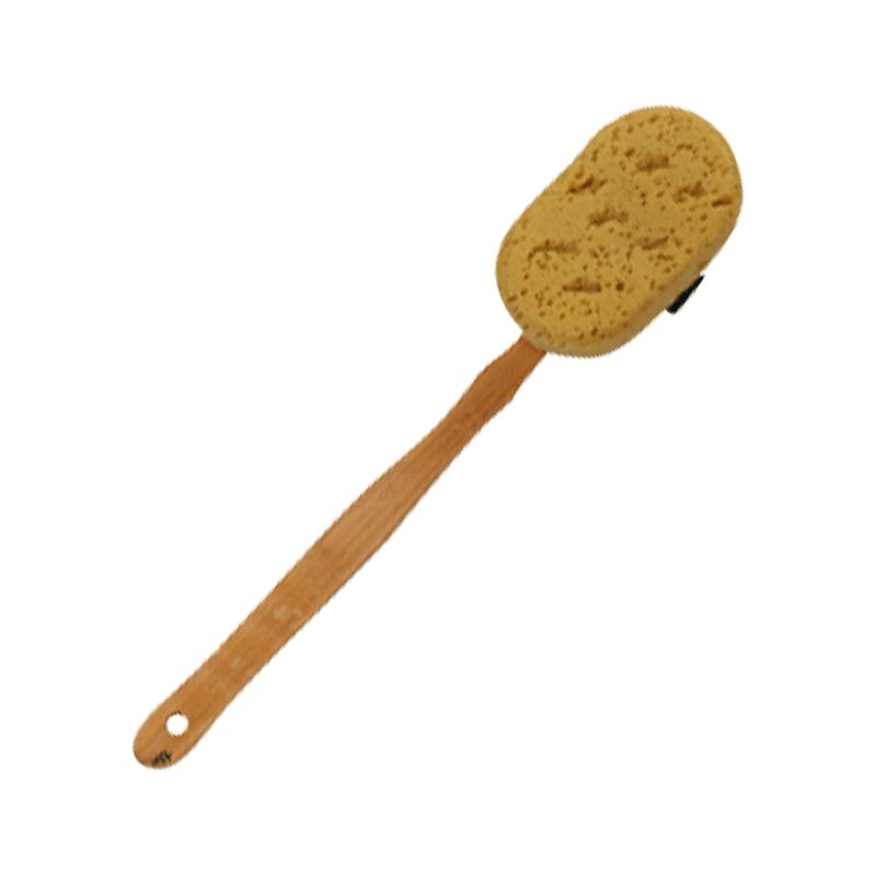 Brosse éponge à long manche pour le bain